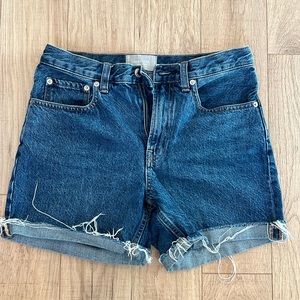 Everlane The Denim Short